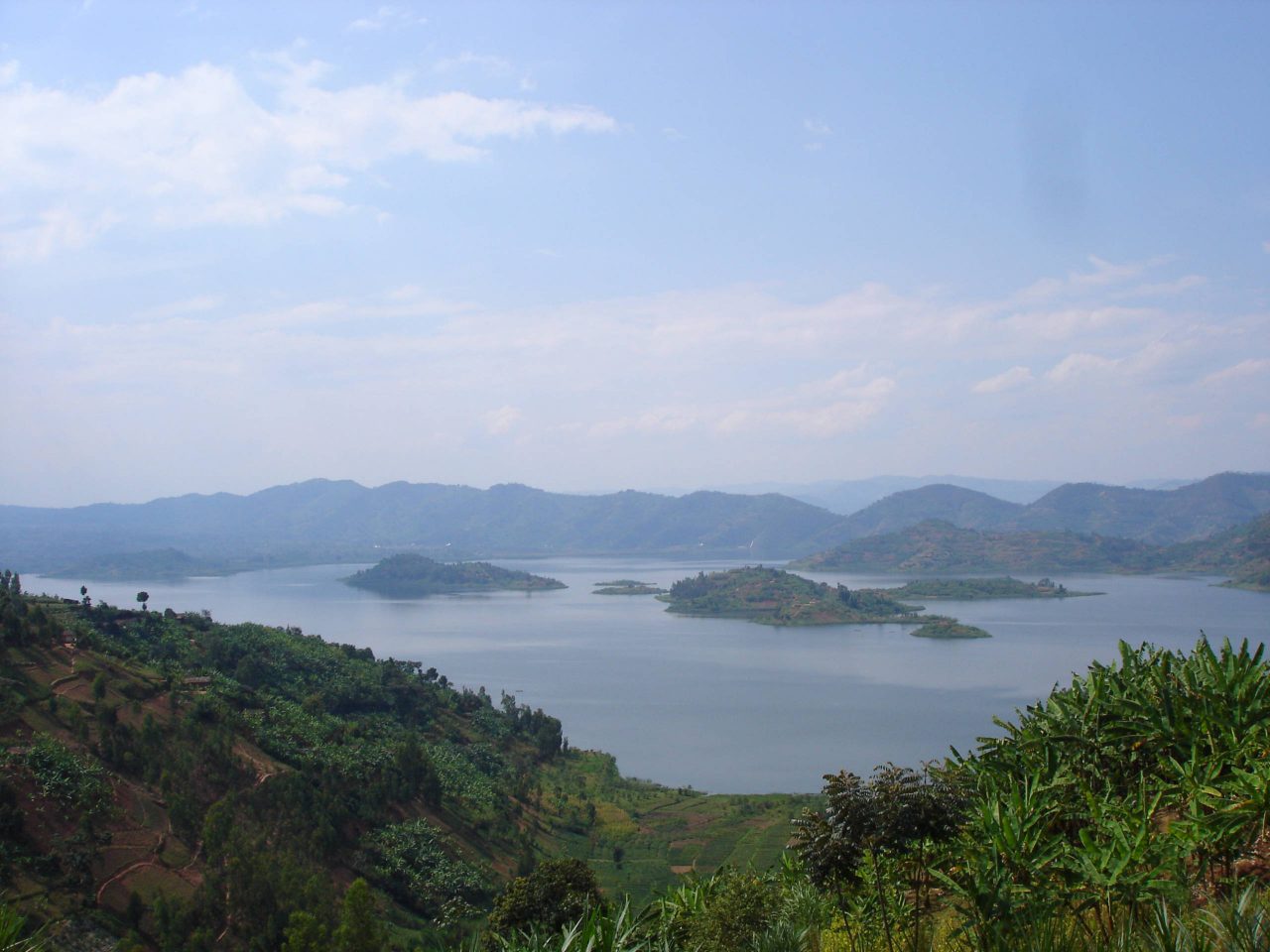 Virunga mountains